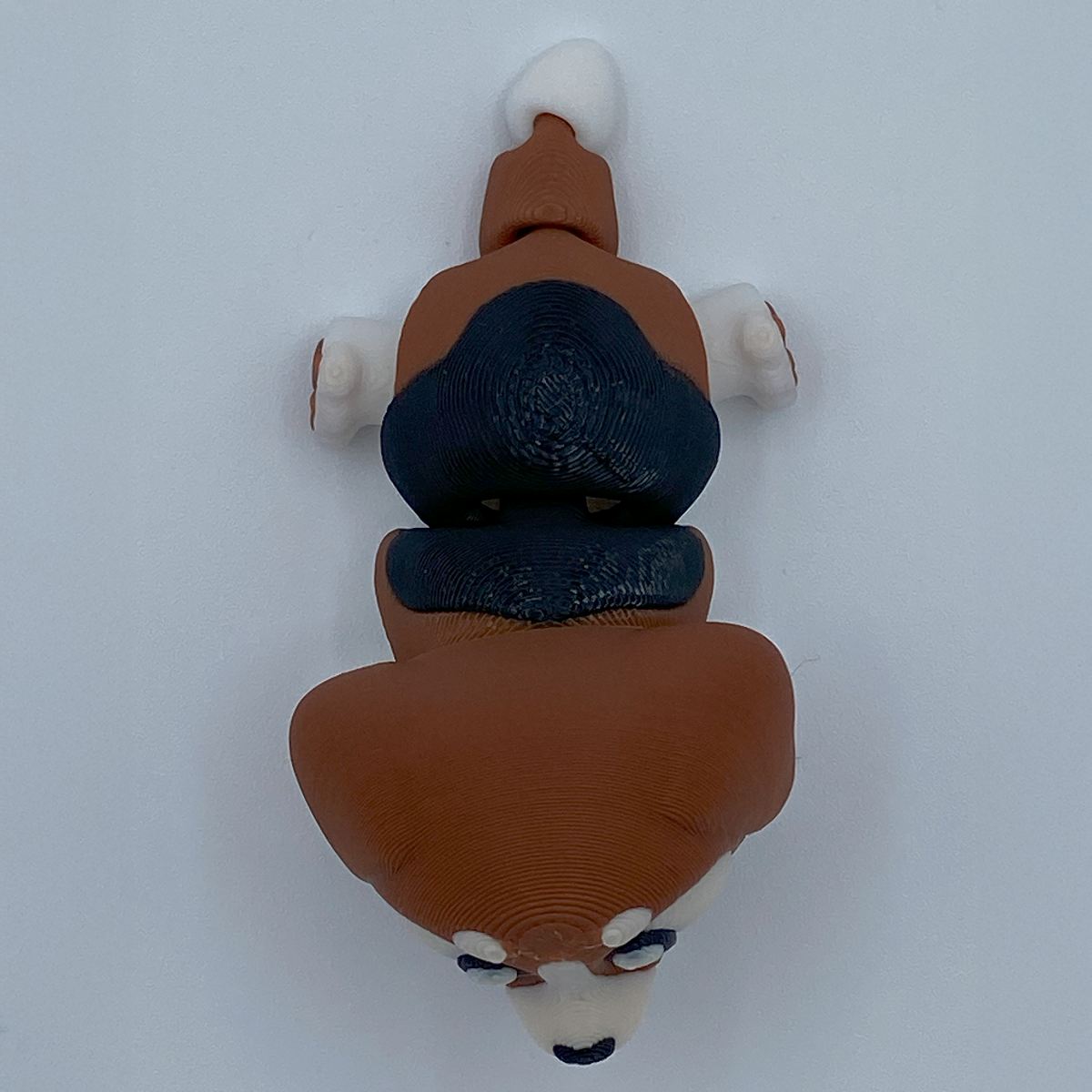 Beagle flexi 3d print
