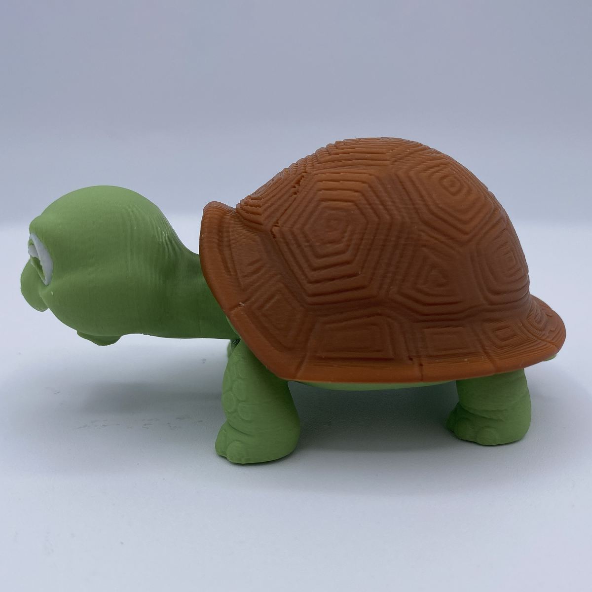 Greek Tortoise Terrarium - 3D Printed Articulated Diorama