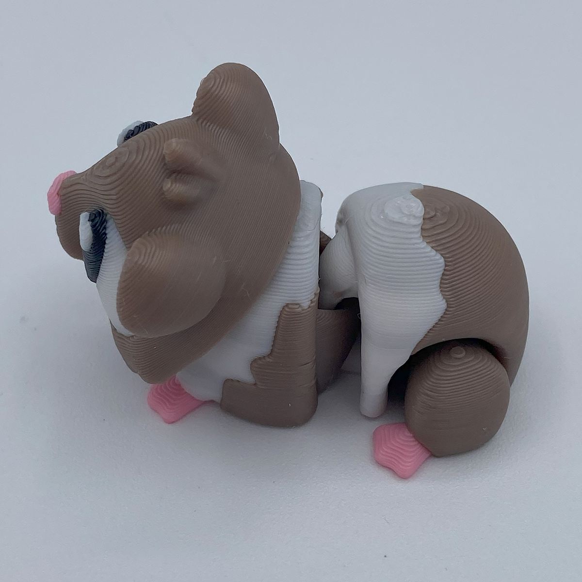 Guinea Pig flexi 3d print