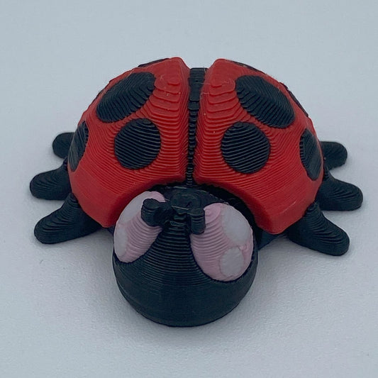 Disabled Lady Bug Articulated 3D print (Final Sale Item)