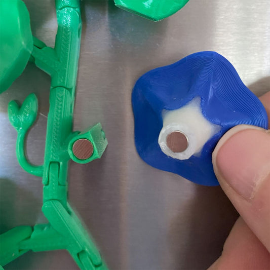 Morning Glory Vine Refrigerator Magnets