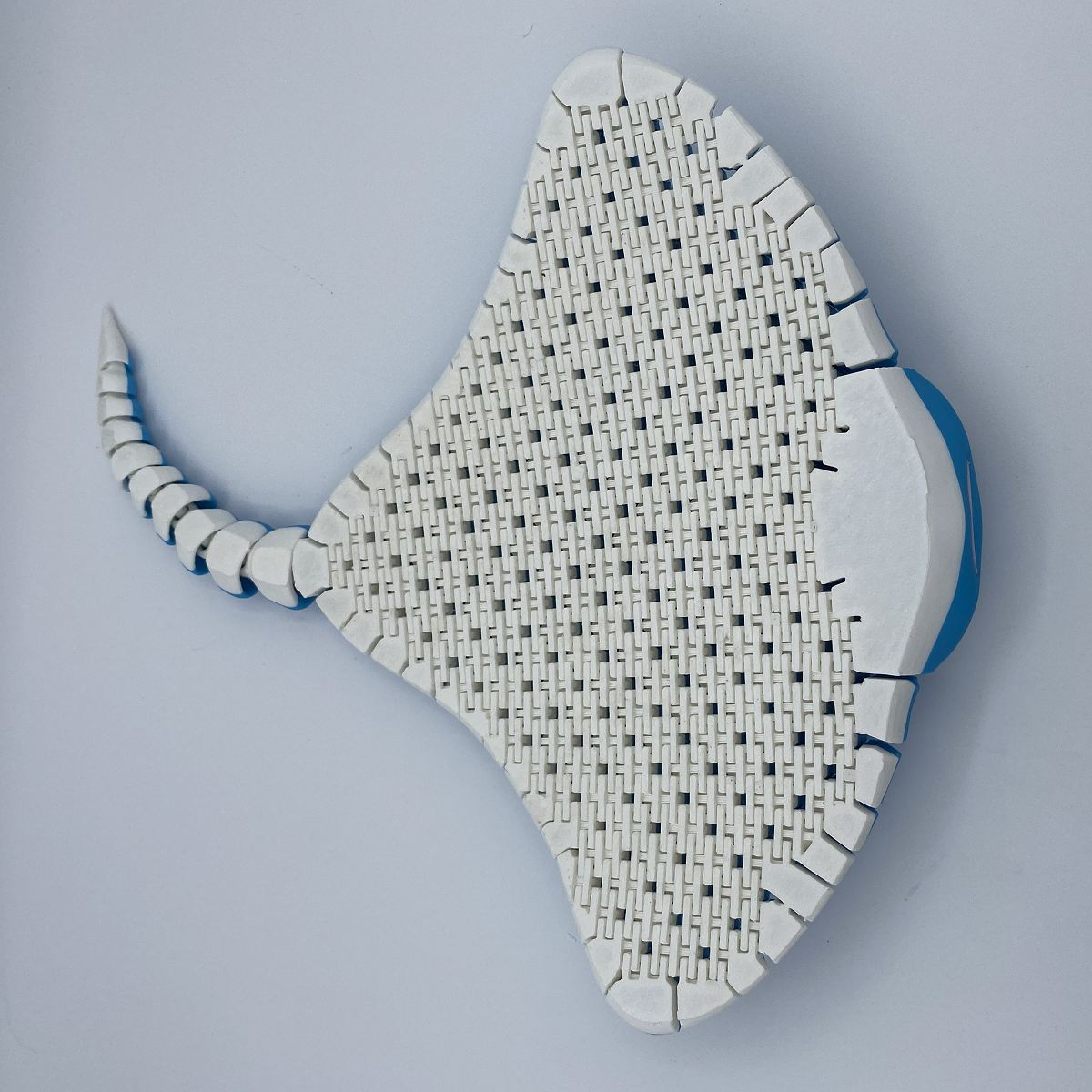 Stingray Flexi - 3D Printed Articulated Ocean Toy