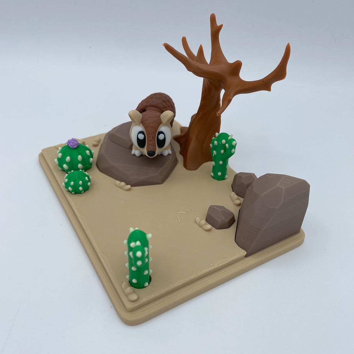 Armadillo Desert