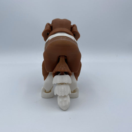 Bernie the St Bernard