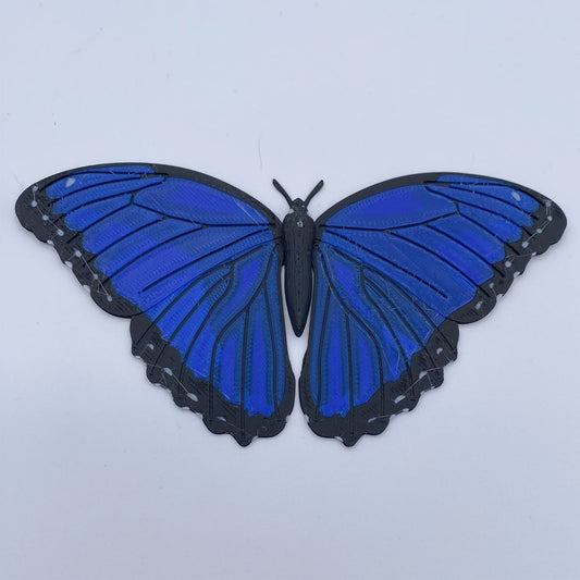 Butterfly Fridge Magnets
