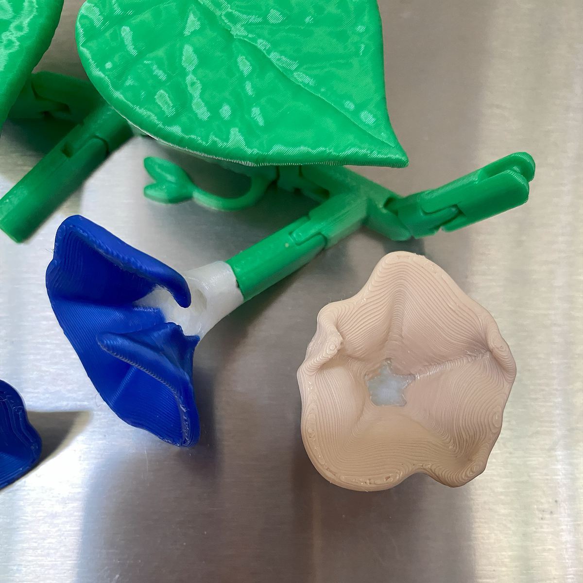 Morning Glory Vine Refrigerator Magnets