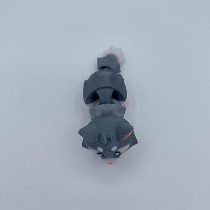 Cat Flexi