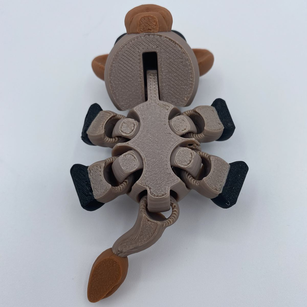 Charlie the Lounging Highland Cow