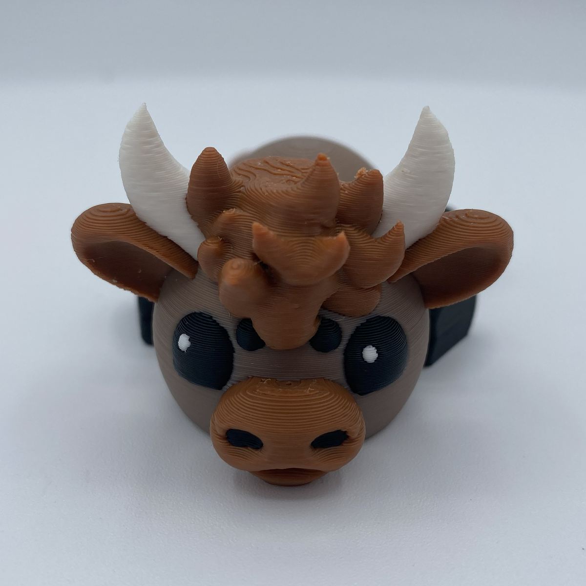 Charlie the Lounging Highland Cow