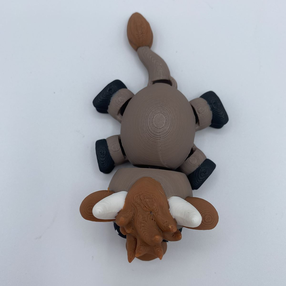 Charlie the Lounging Highland Cow