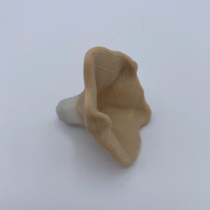 Morning Glory Vine Refrigerator Magnets