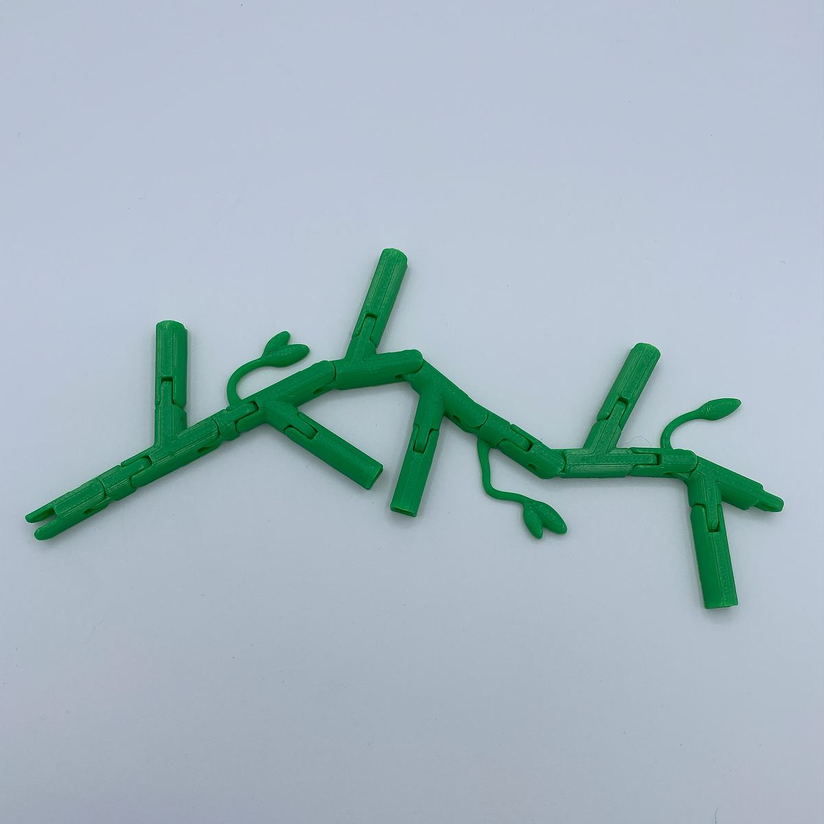 Morning Glory Vine Refrigerator Magnets