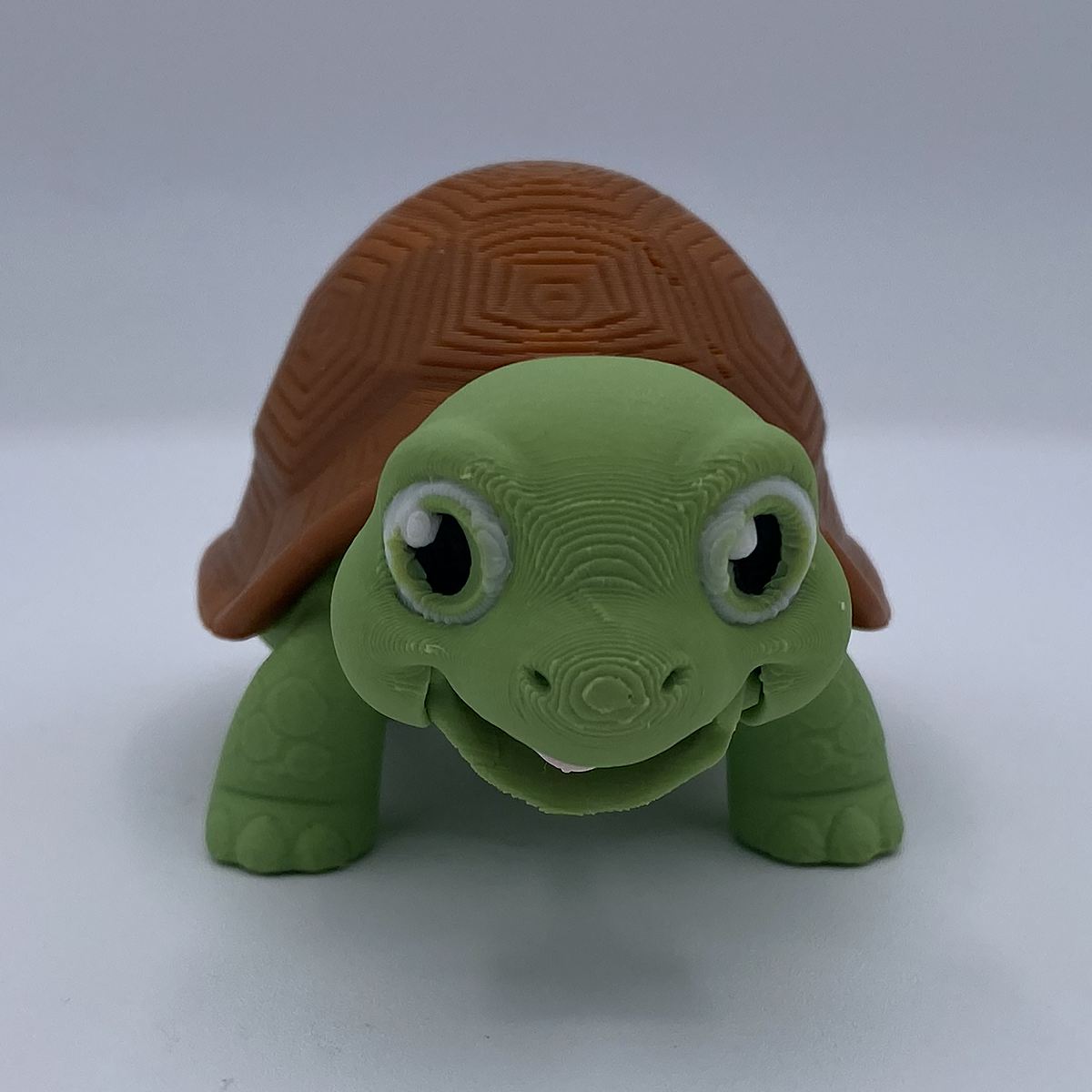 Greek Tortoise Terrarium - 3D Printed Articulated Diorama