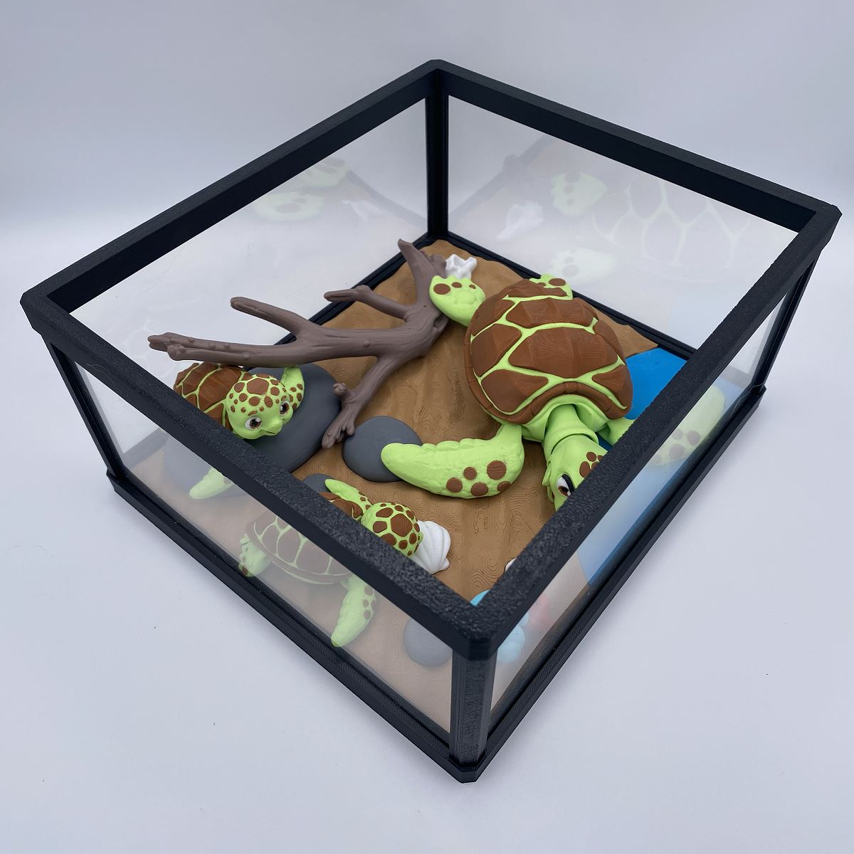 Green sea turtle terrarium shown from another angle