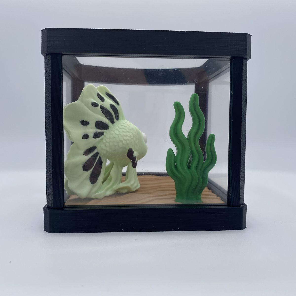 Betta fish aquarium 3D printed diorama
