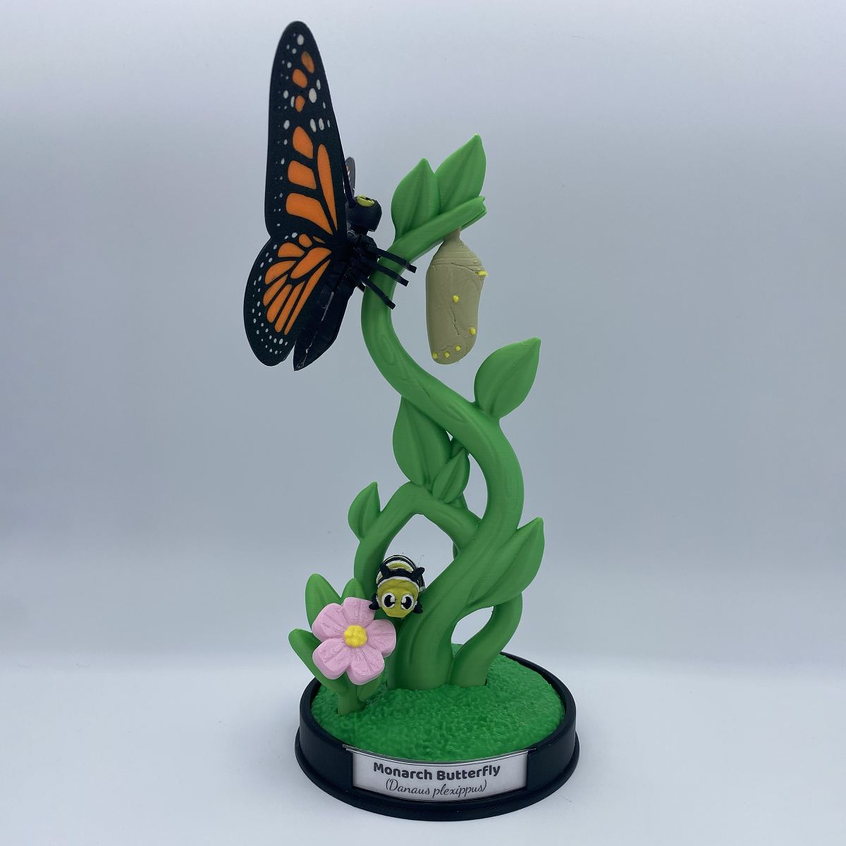 Monarch Butterfly Life Cycle Display with articulated caterpillar, chrysalis, and poseable butterfly