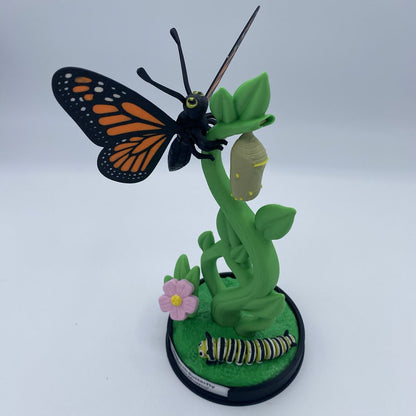 Monarch Butterfly Life Cycle Display with articulated caterpillar, chrysalis, and poseable butterfly