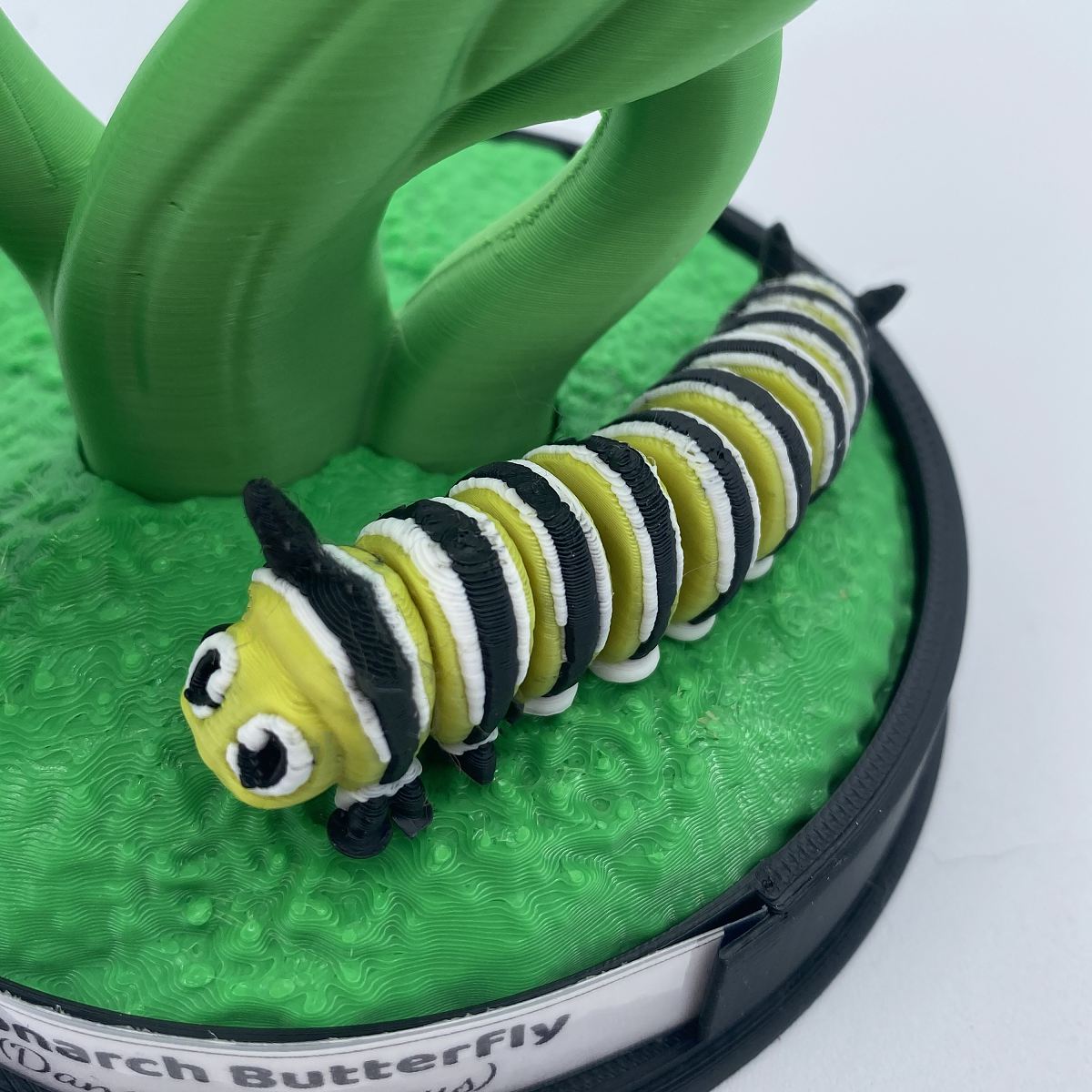 Monarch Butterfly Life Cycle Display with articulated caterpillar, chrysalis, and poseable butterfly