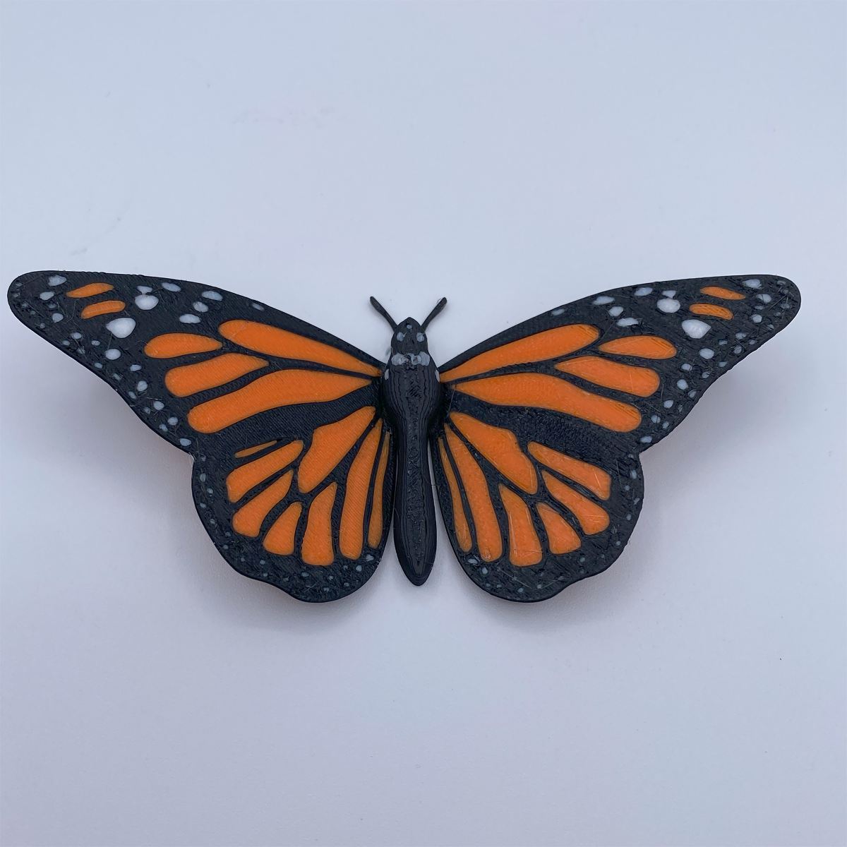 Butterfly Fridge Magnets