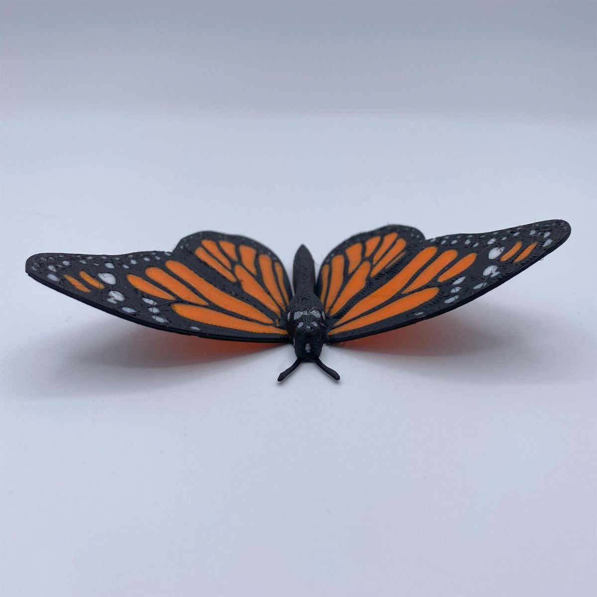 Butterfly Fridge Magnets