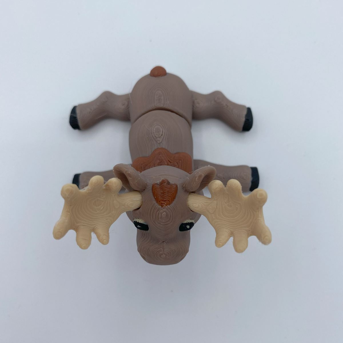 Moose Flexi