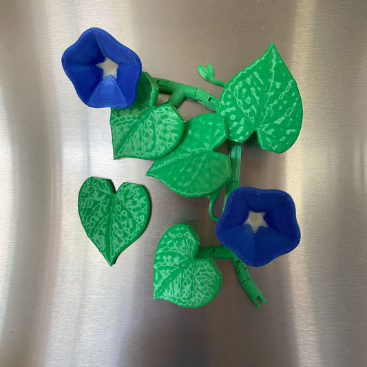 Morning Glory Vine Refrigerator Magnets