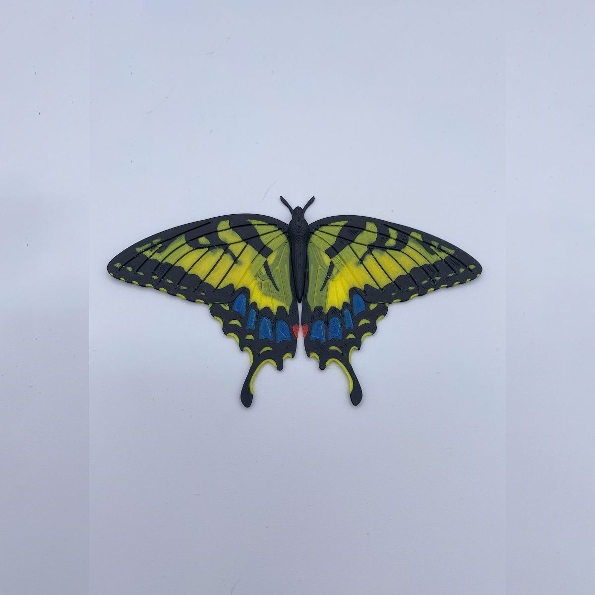 Butterfly Fridge Magnets