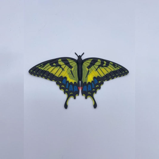 Butterfly Fridge Magnets