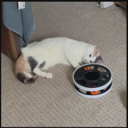 Trina's Cat Toys
